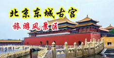 性感裸体美女被插免费看中国北京-东城古宫旅游风景区
